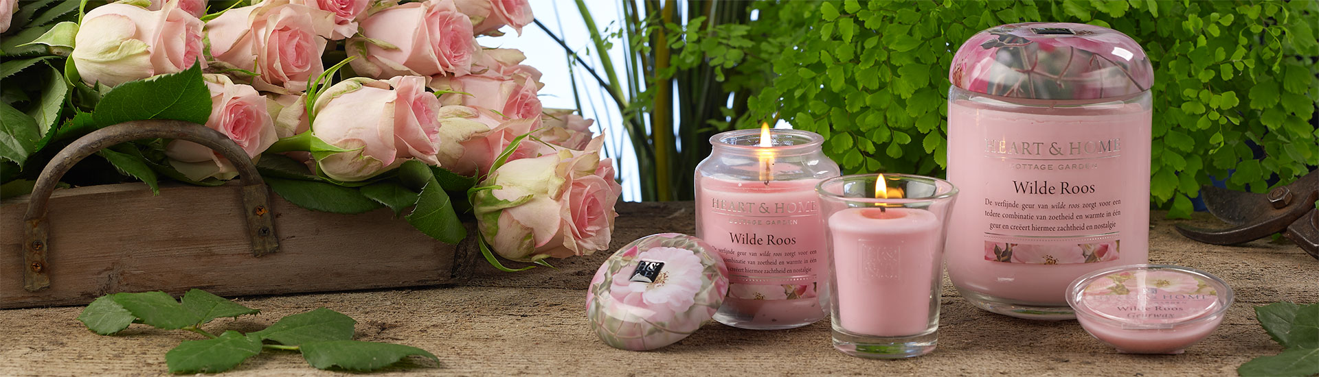 Heart & Home Wilde Roos geurkaarsenserie