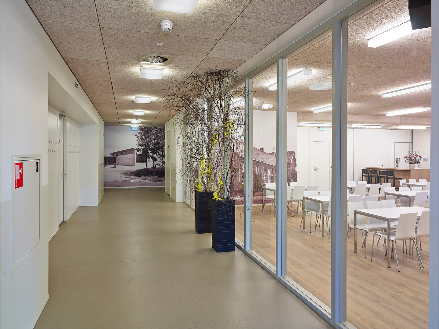 Jacobs Elektro Groep